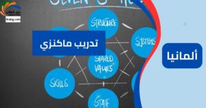 تدريب ماكنزي