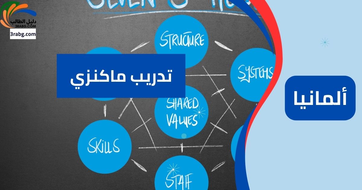 تدريب ماكنزي