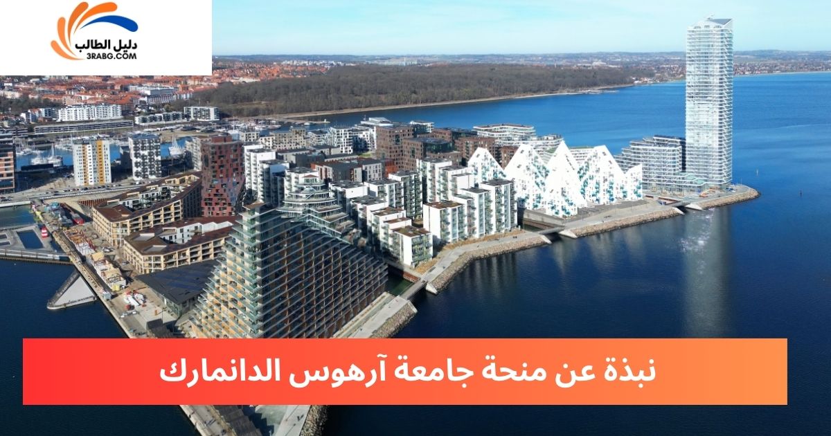 نبذة عن منحة جامعة آرهوس الدانمارك