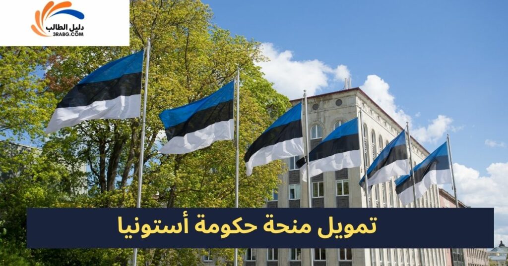 مزايا الحصول على منحة حكومة أستونيا