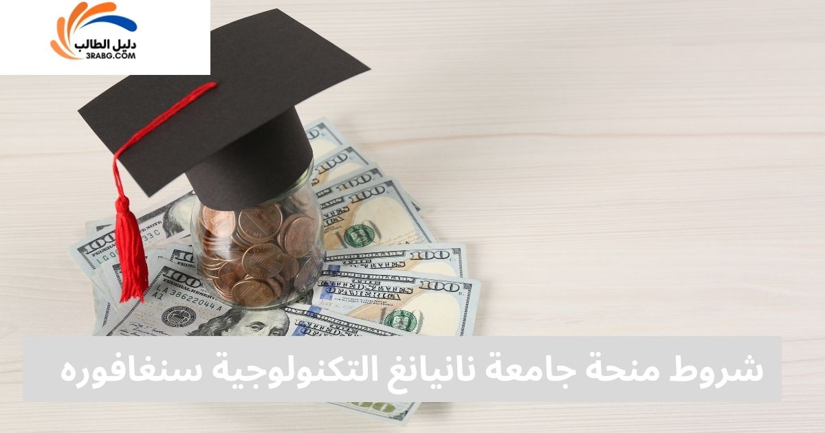 شروط منحة جامعة نانيانغ التكنولوجية في سنغافوره