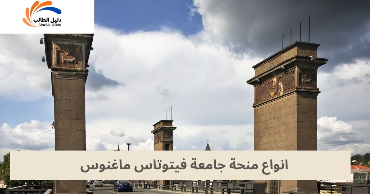انواع منحة جامعة فيتوتاس ماغنوس
