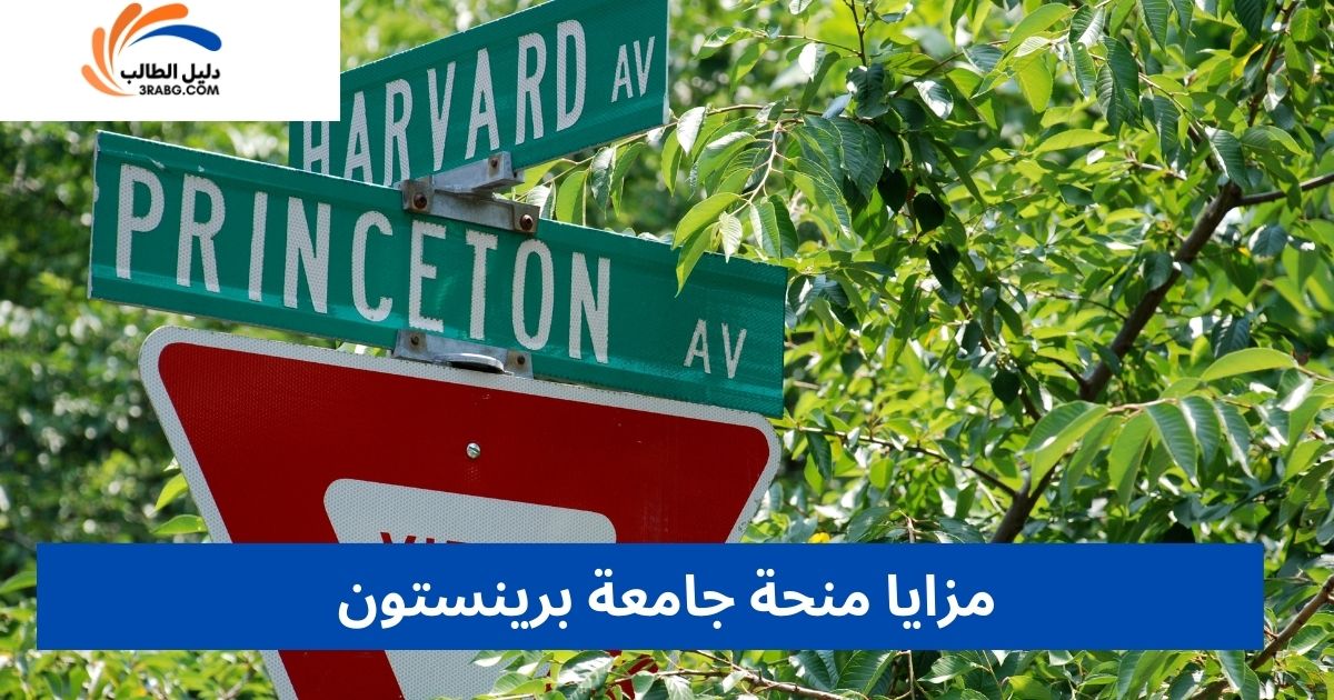 مزايا منحة جامعة برينستون