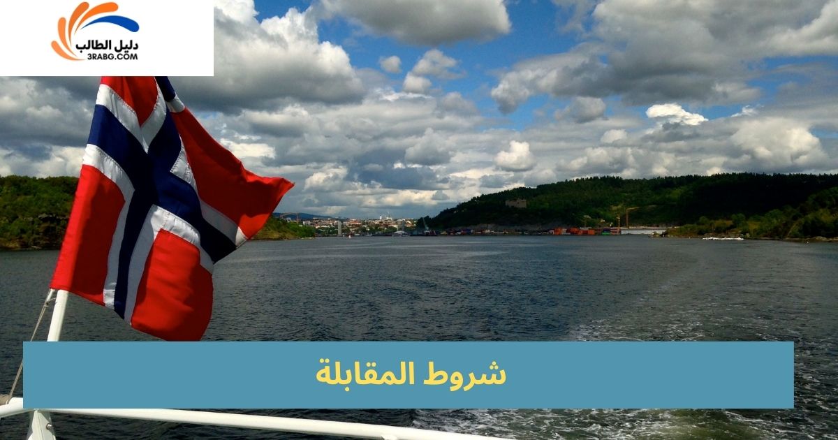 شروط المقابلة