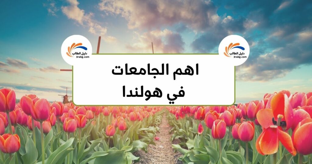 جامعات في هولندا