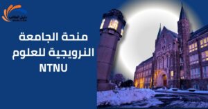 منحة الجامعة النرويجية للعلوم NTNU