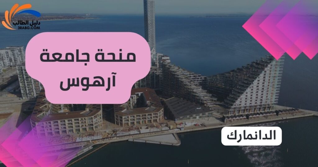 منحة جامعة آرهوس