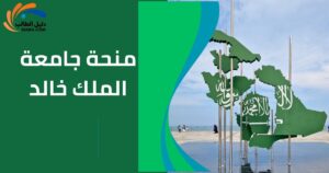 منحة جامعة الملك خالد