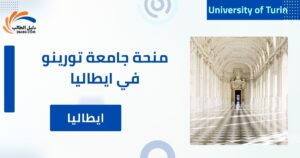 منحة جامعة تورينو