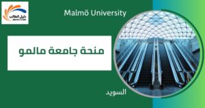 منحة جامعة مالمو