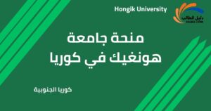 منحة جامعة هونغيك في كوريا