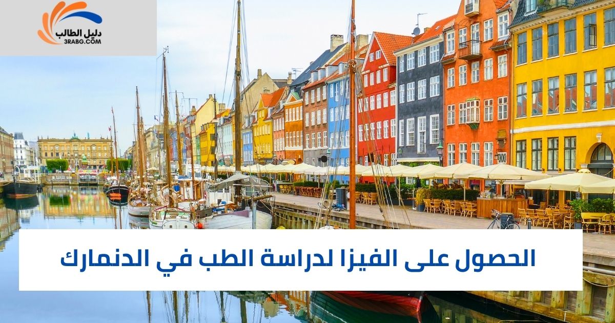 الحصول على الفيزا لدراسة الطب في الدنمارك