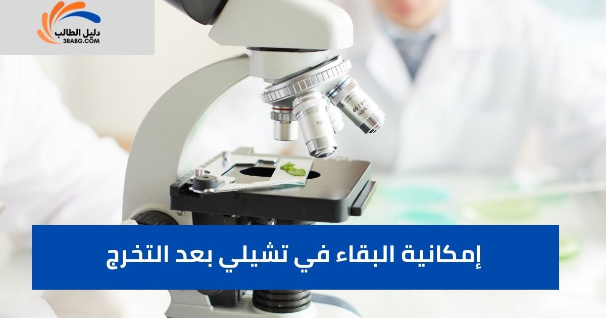 إمكانية البقاء في تشيلي بعد التخرج