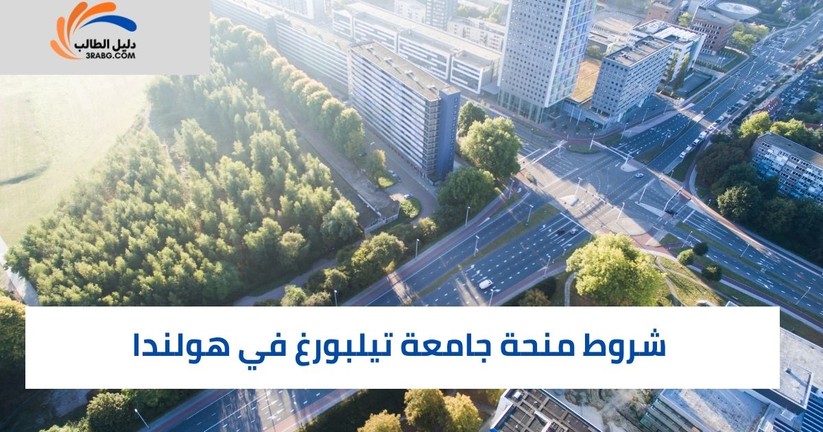 شروط منحة جامعة تيلبورغ في هولندا