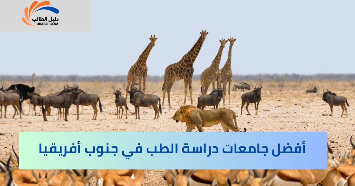 أفضل جامعات دراسة الطب في جنوب أفريقيا