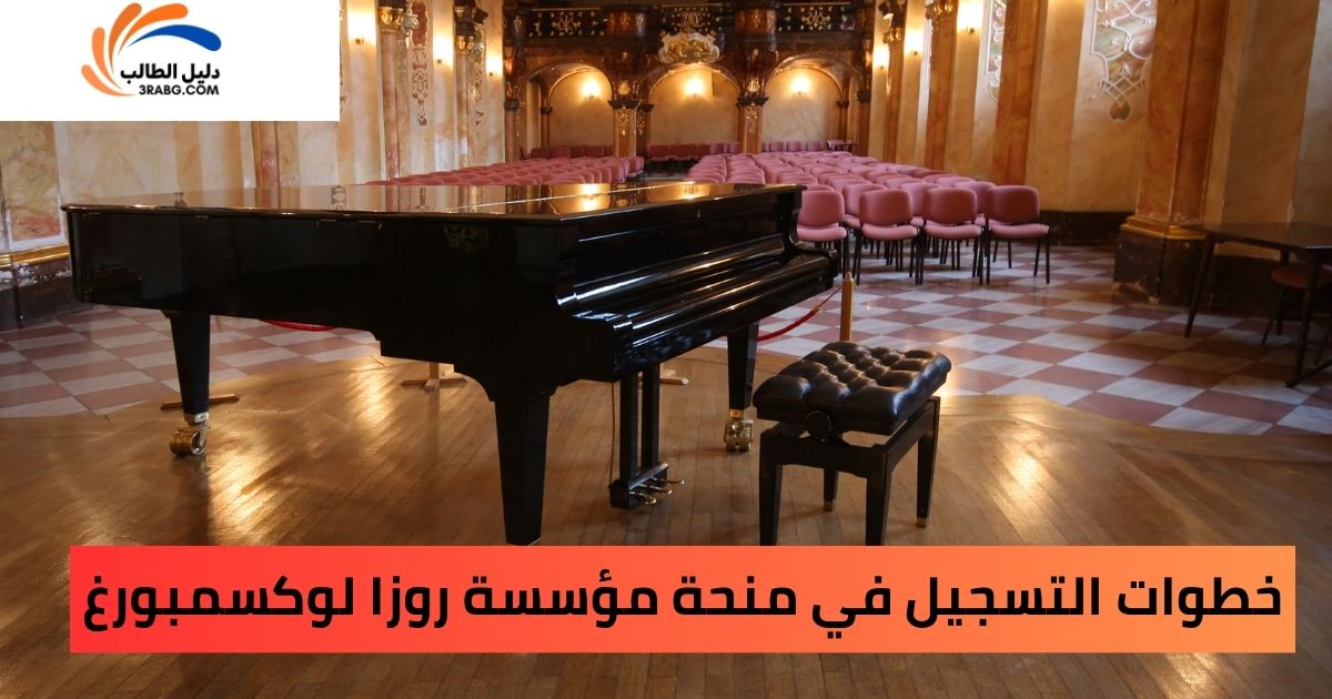 خطوات التسجيل في منحة مؤسسة روزا لوكسمبورغ