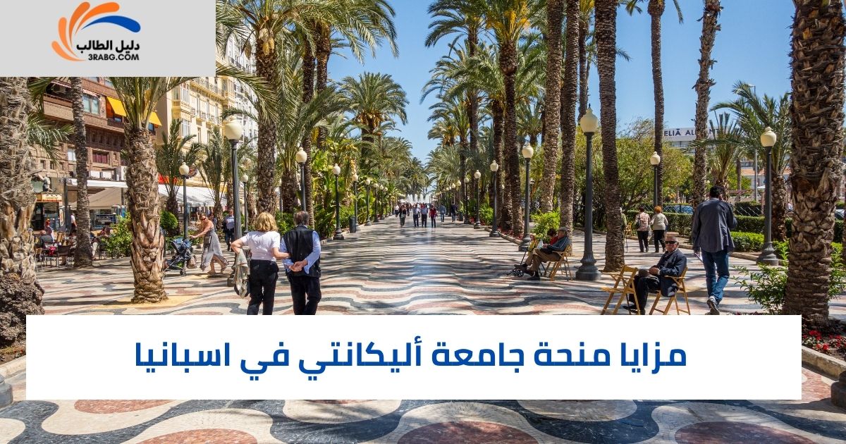 مزايا منحة جامعة أليكانتي في اسبانيا