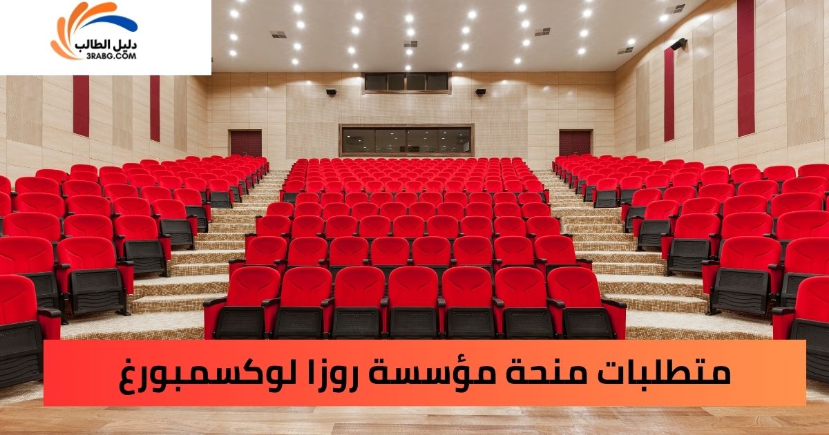 متطلبات منحة مؤسسة روزا لوكسمبورغ