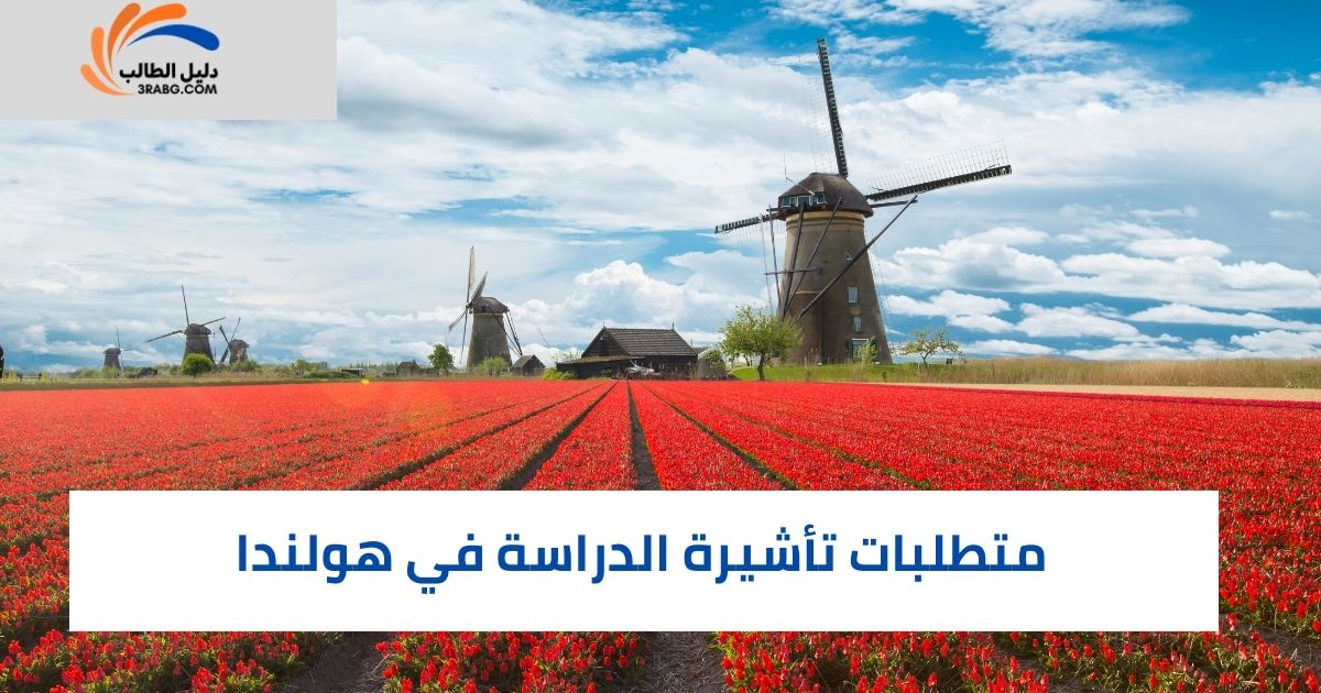 متطلبات تأشيرة الدراسة في هولندا