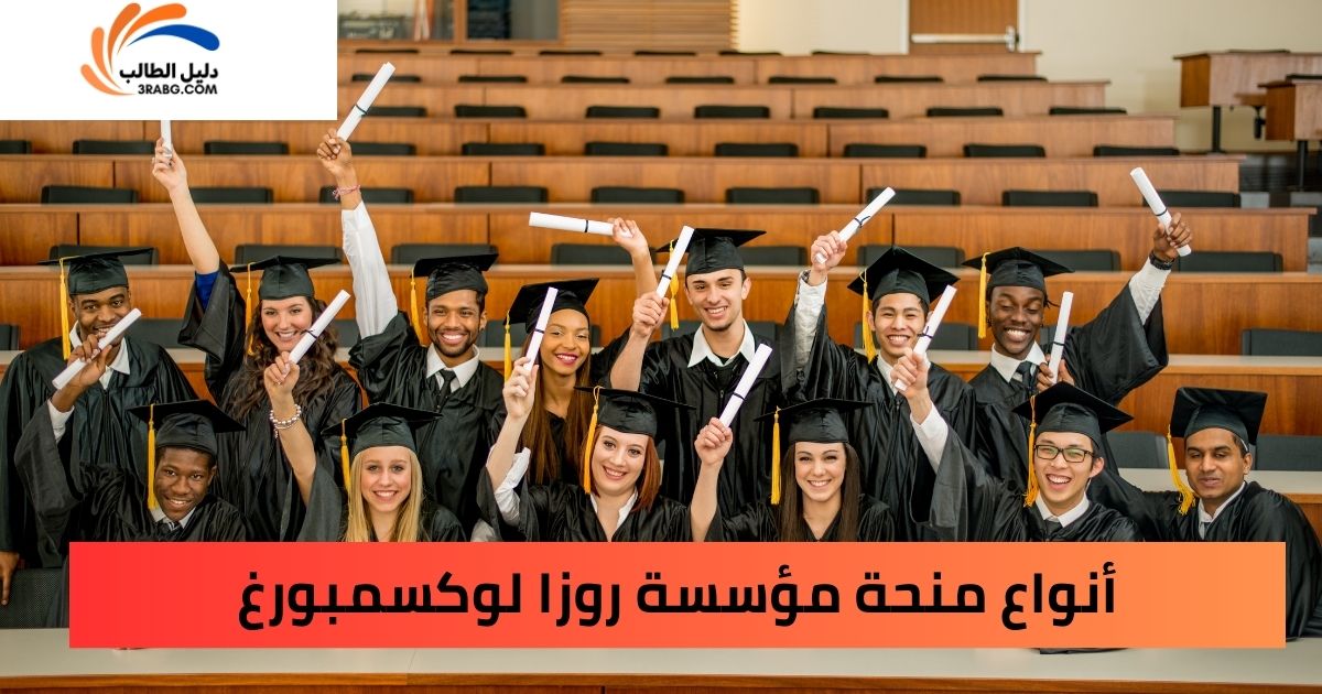أنواع منحة مؤسسة روزا لوكسمبورغ