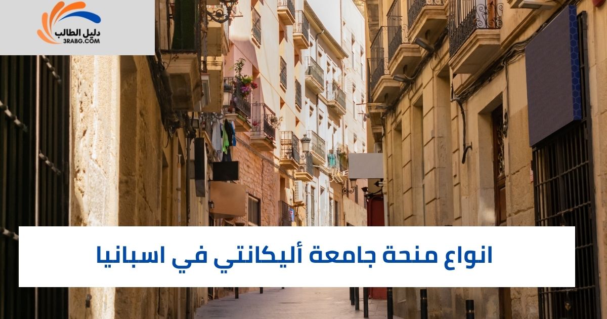 انواع منحة جامعة أليكانتي في اسبانيا