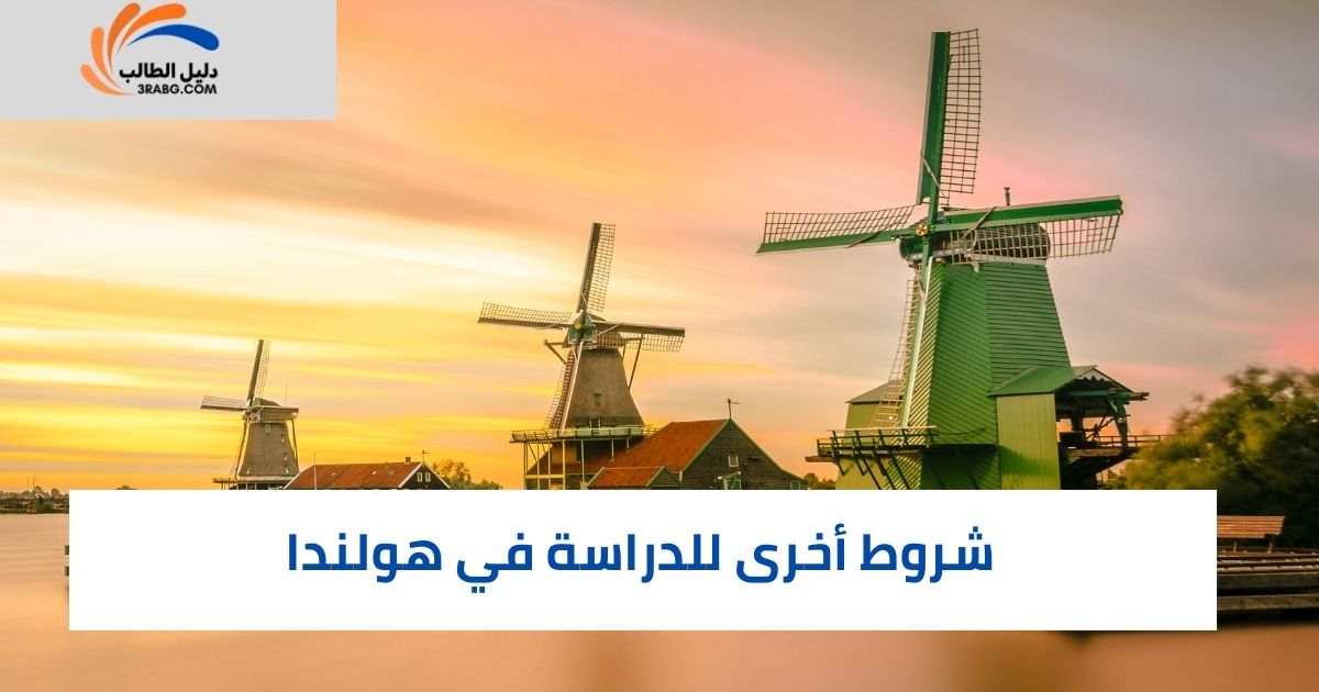 شروط أخرى للدراسة في هولندا