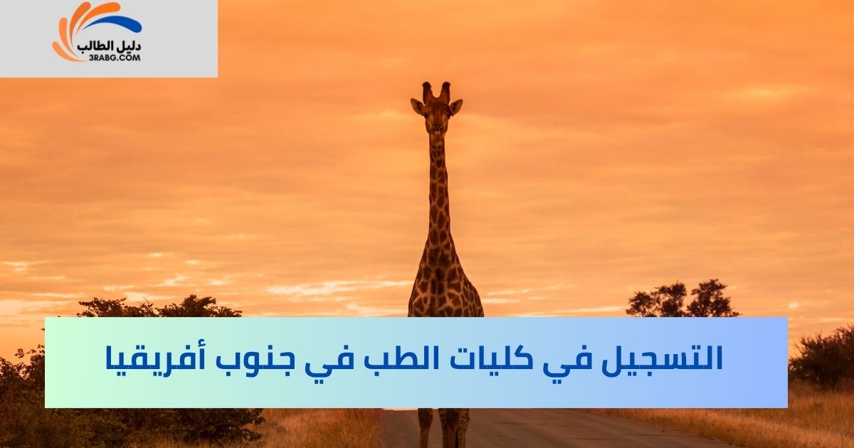 التسجيل في كليات الطب في جنوب أفريقيا
