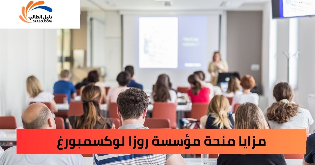 مزايا منحة مؤسسة روزا لوكسمبورغ