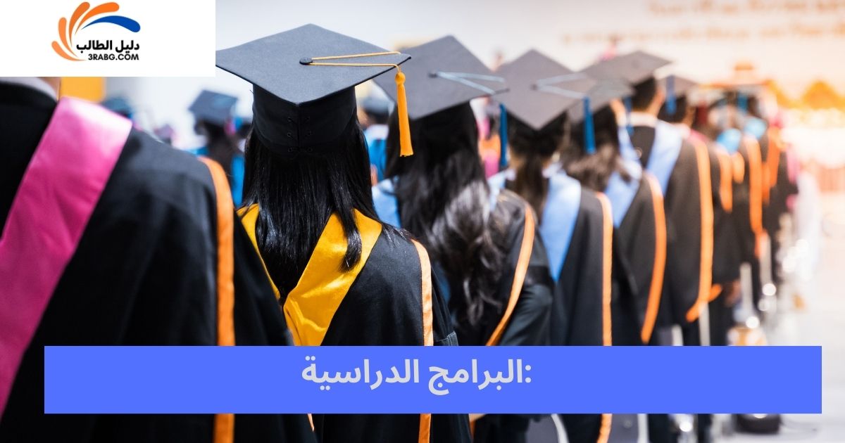 البرامج الدراسية: