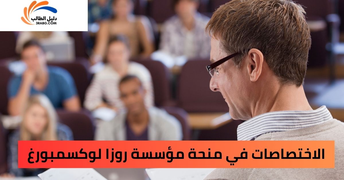 الاختصاصات في منحة مؤسسة روزا لوكسمبورغ