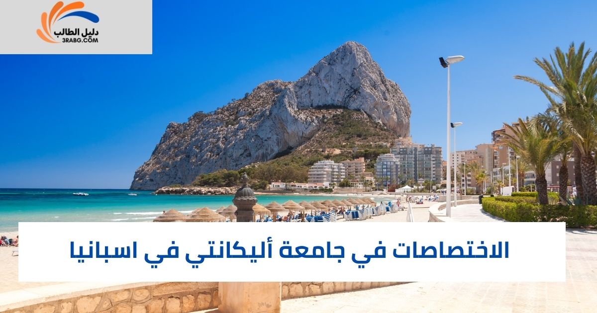 الاختصاصات في جامعة أليكانتي في اسبانيا