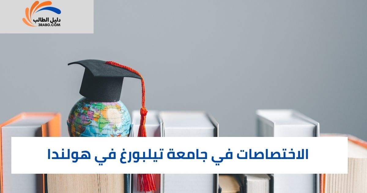 الاختصاصات في جامعة تيلبورغ في هولندا