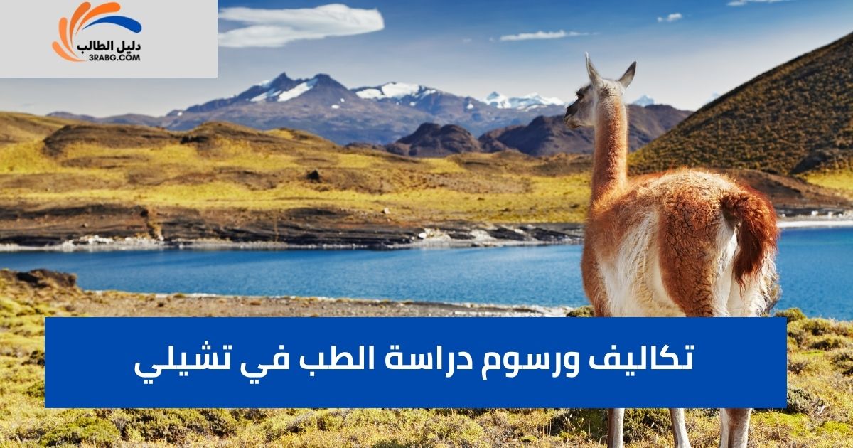 تكاليف ورسوم دراسة الطب في تشيلي