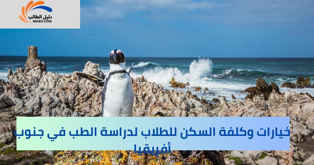 خيارات وكلفة السكن للطلاب لدراسة الطب في جنوب أفريقيا