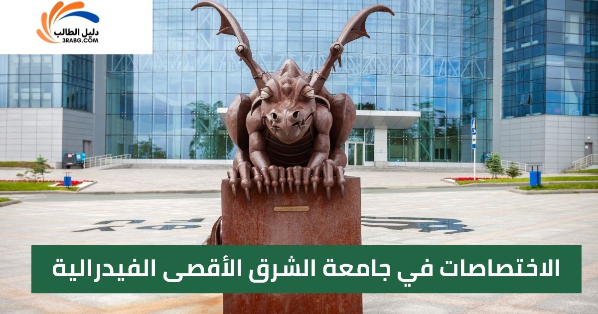 الاختصاصات في جامعة الشرق الأقصى الفيدرالية