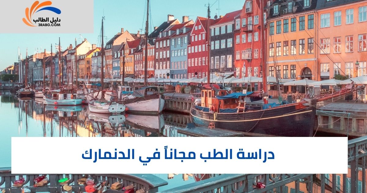 دراسة الطب مجاناً في الدنمارك