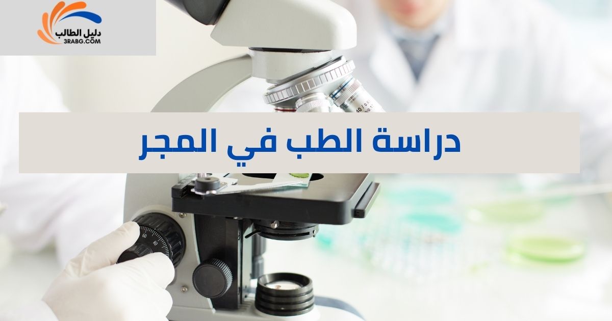 دراسة الطب في المجر