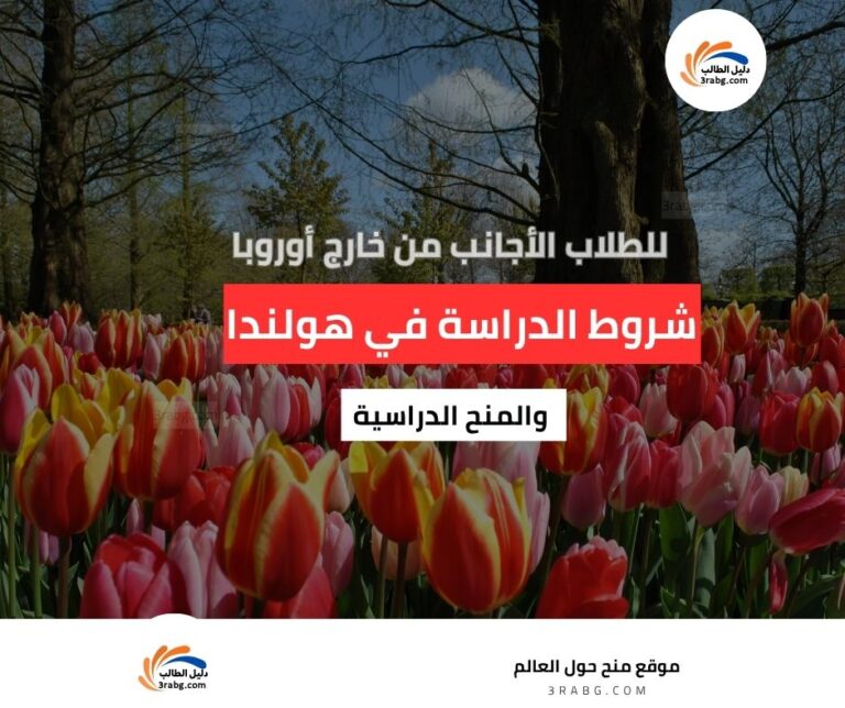 الدراسة في هولندا