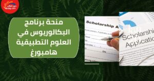 منحة برنامج البكالوريوس في العلوم التطبيقية هامبورغ
