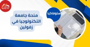 منحة جامعة التكنولوجيا في زفولين