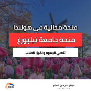 منحة جامعة تيلبورغ في هولندا