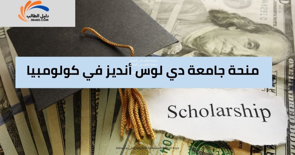 منحة جامعة دي لوس أنديز