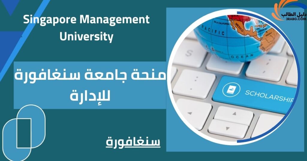 منحة جامعة سنغافورة للإدارة