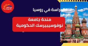 منحة جامعة نوفوسيبيرسك الحكومية