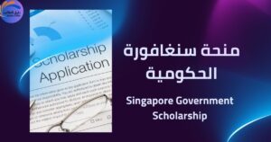 منحة سنغافورة الحكومية