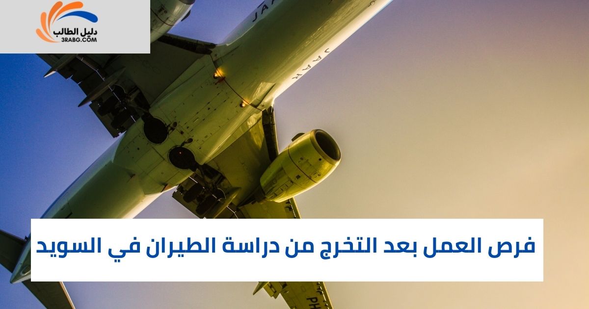 عيوب ومساوئ دراسة الطيران في السويد