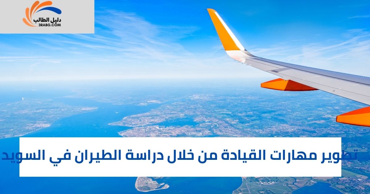 التحديات والفرص في قطاع الطيران في السويد