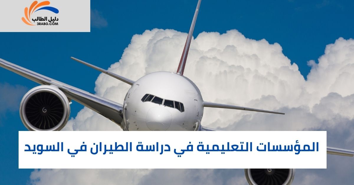 أهمية دراسة الطيران في السويد