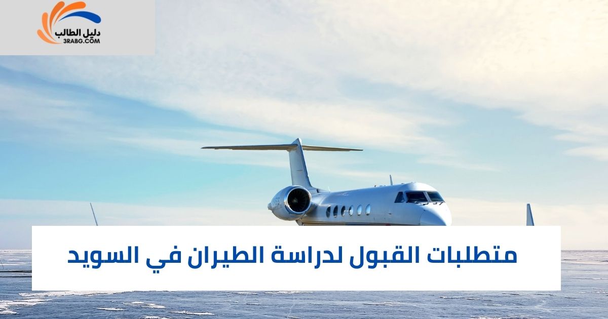 البرامج الدراسية المتاحة لدراسة الطيران في السويد