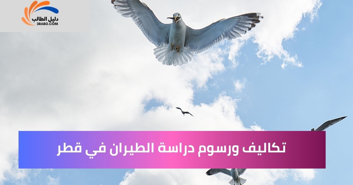تكاليف ورسوم دراسة الطيران في قطر